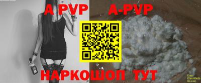 индика Гусев