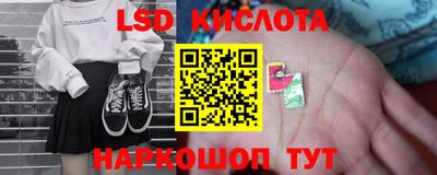 индика Гусев