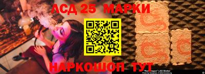 индика Гусев