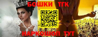 индика Гусев