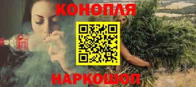 индика Гусев