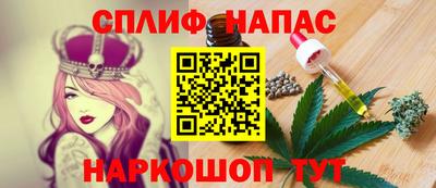 индика Гусев