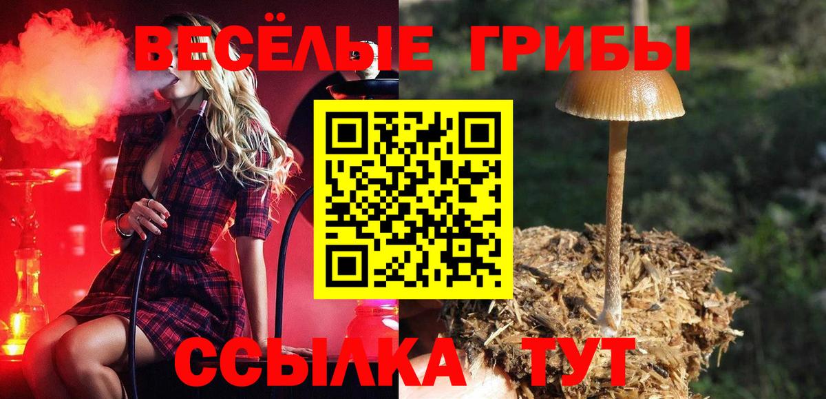 Еманжелинск  Галлюциногенные грибы Magic Shrooms  Вход с VPN 